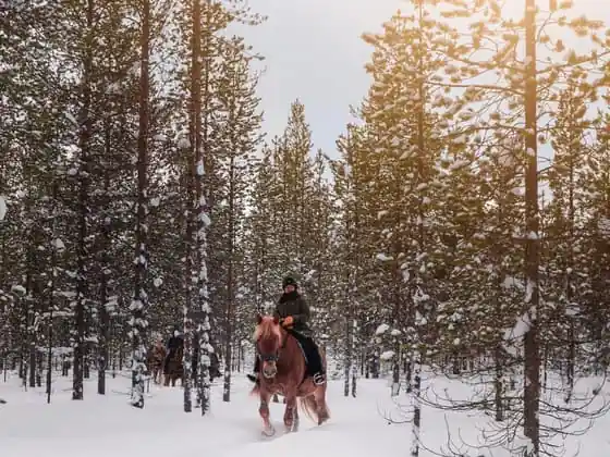 Arctic Trail Horse Riding Tour