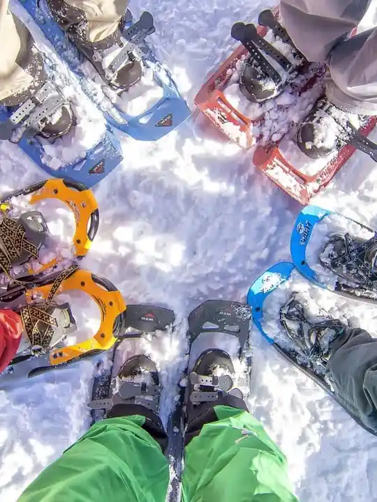 Snowshoeing Tour with Wild Lunch and Hotel Pickup