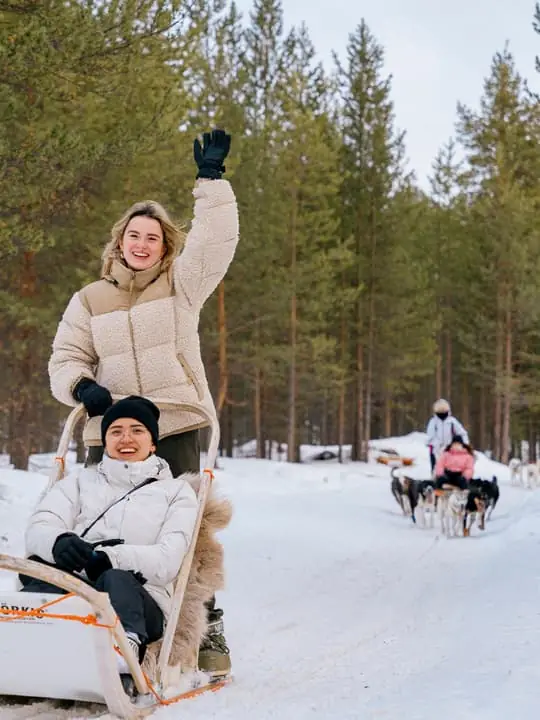 10KM Husky Safari with kennel visit