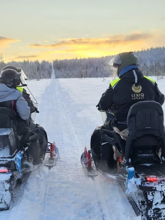 Lapland: Private Snowmobile Safari with Arctic Local Guide