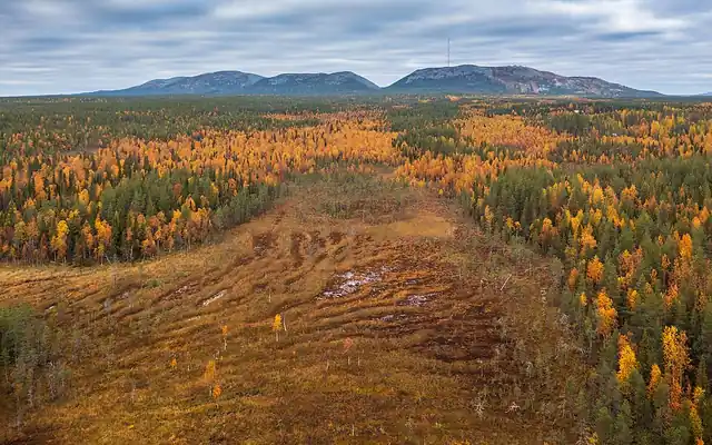Autumn in Pyhä-Luosto