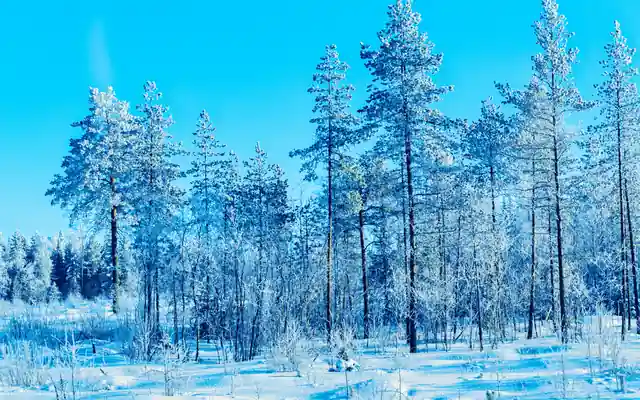 Spring in Rovaniemi