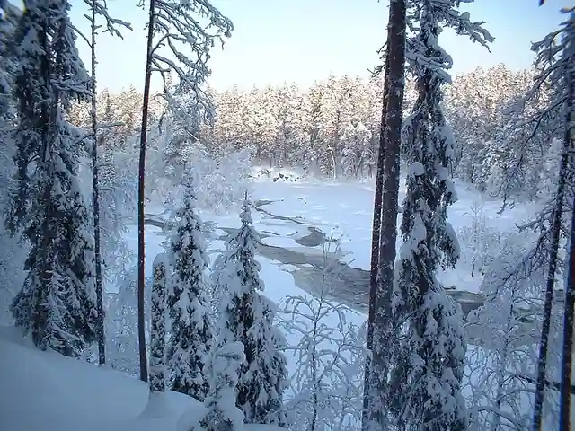 Oulanka National Park