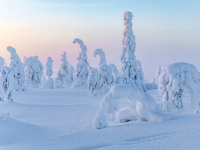 Riisitunturi National Park