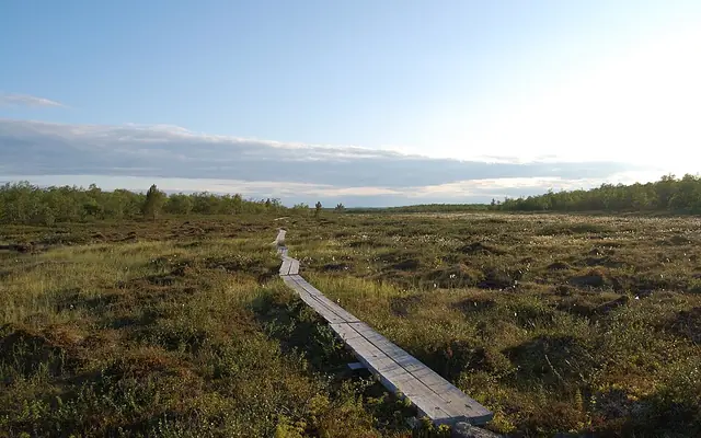 Summer in Saariselkä