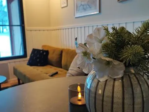 Talitintti Levi, 1 bedroom apartment