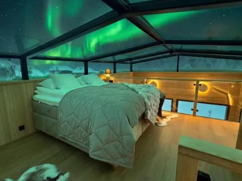 Levi Lapland Luxury Igloos D