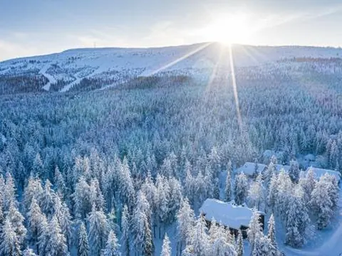 Rentorakka