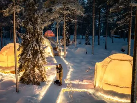 Invisible Forest Lodge & Spa