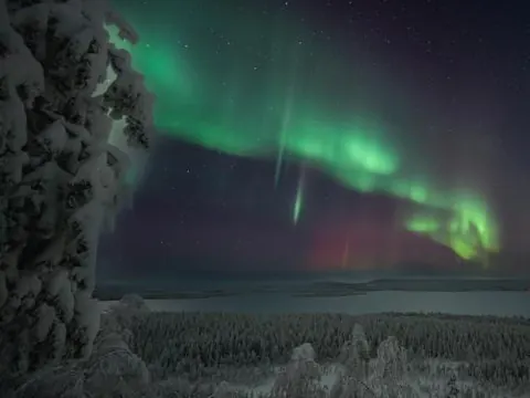 Coloria - kotisi Rovaniemellä, luonnollisesti