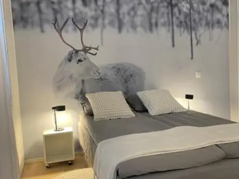 Studio Rudolf - Comfy city apartment with Private sauna & Free Wi-Fi