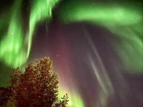 Arctic Deluxe