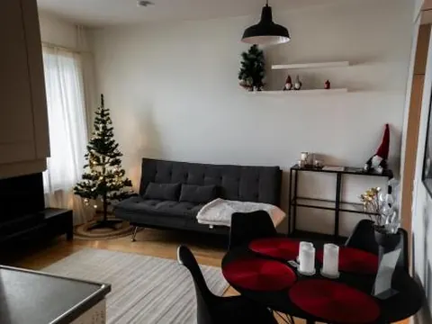 Entire Apartment - Rovaniemi City Centre - Private Sauna - Free WiFi