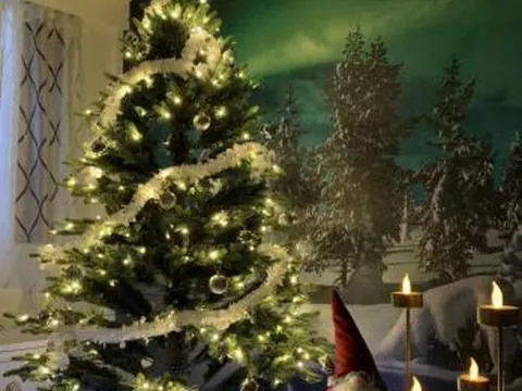 Aurora Night Stay in Rovaniemi