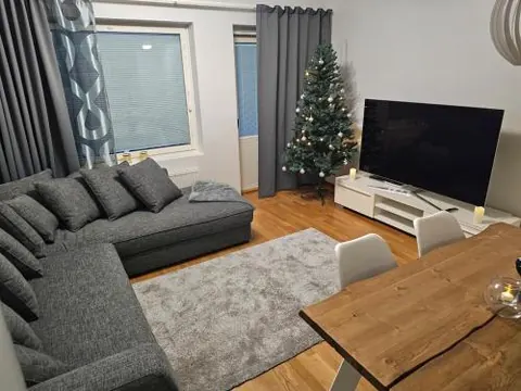 Comfortable apartment near Arktikum