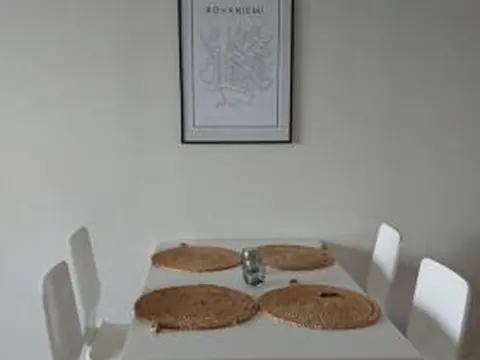 The cosy apartment with own private sauna and balcony
