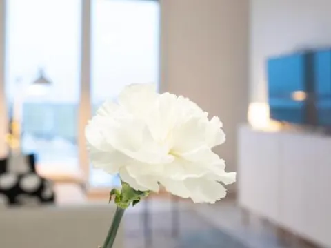 Vasko luxurious suites, Davvi