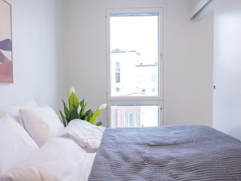 Snowflake Suites I