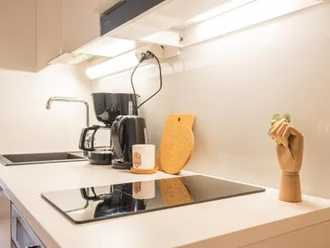 Snowflake suites III - Season worker apartments for long term rental