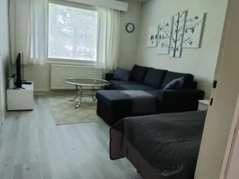 Yksiö omalla puusaunalla