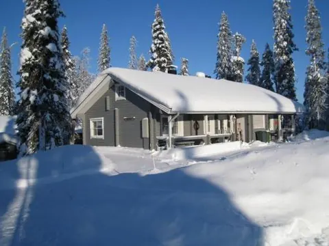 Hippu Apartment