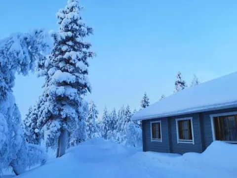 Metsäkoti