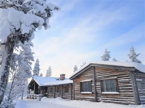 Tunturipöllö / Lapland, Saariselkä