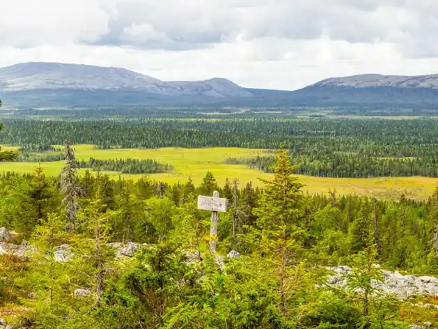 Pallas-Yllästunturi National Park