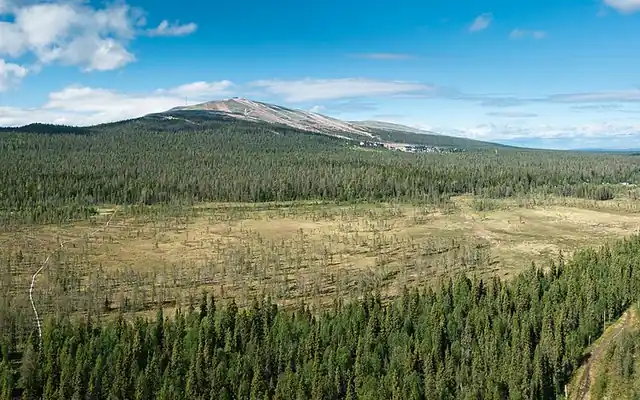 Summer in Ylläs
